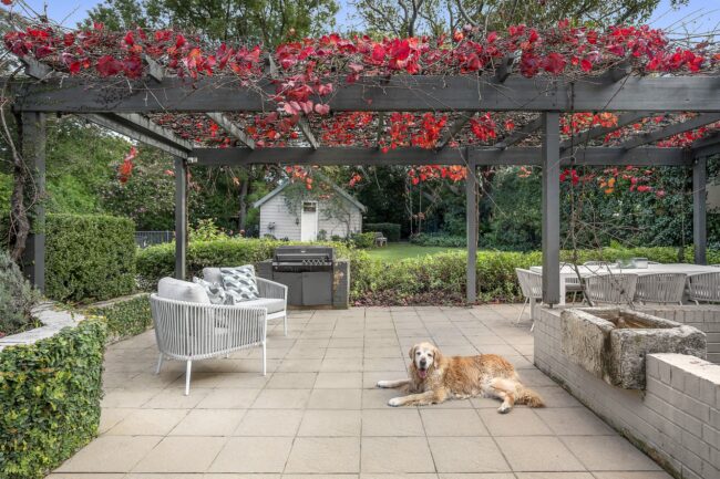 pergola